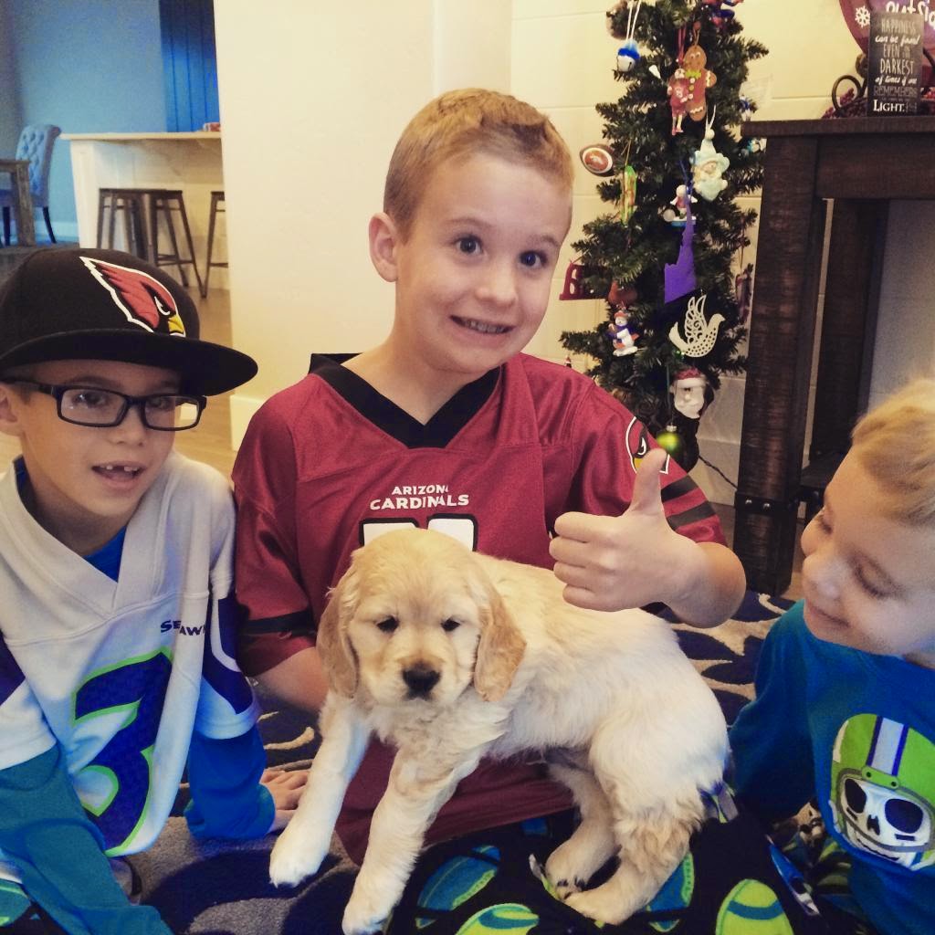 Christmas morning 2014- Mike and Natalie's handsome boys with Maverick!