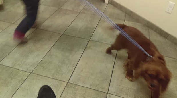 3_reggie running around with daughter.png