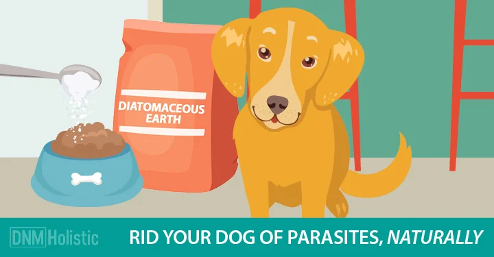 3_Diatomaceous-Earth-DNM.jpg