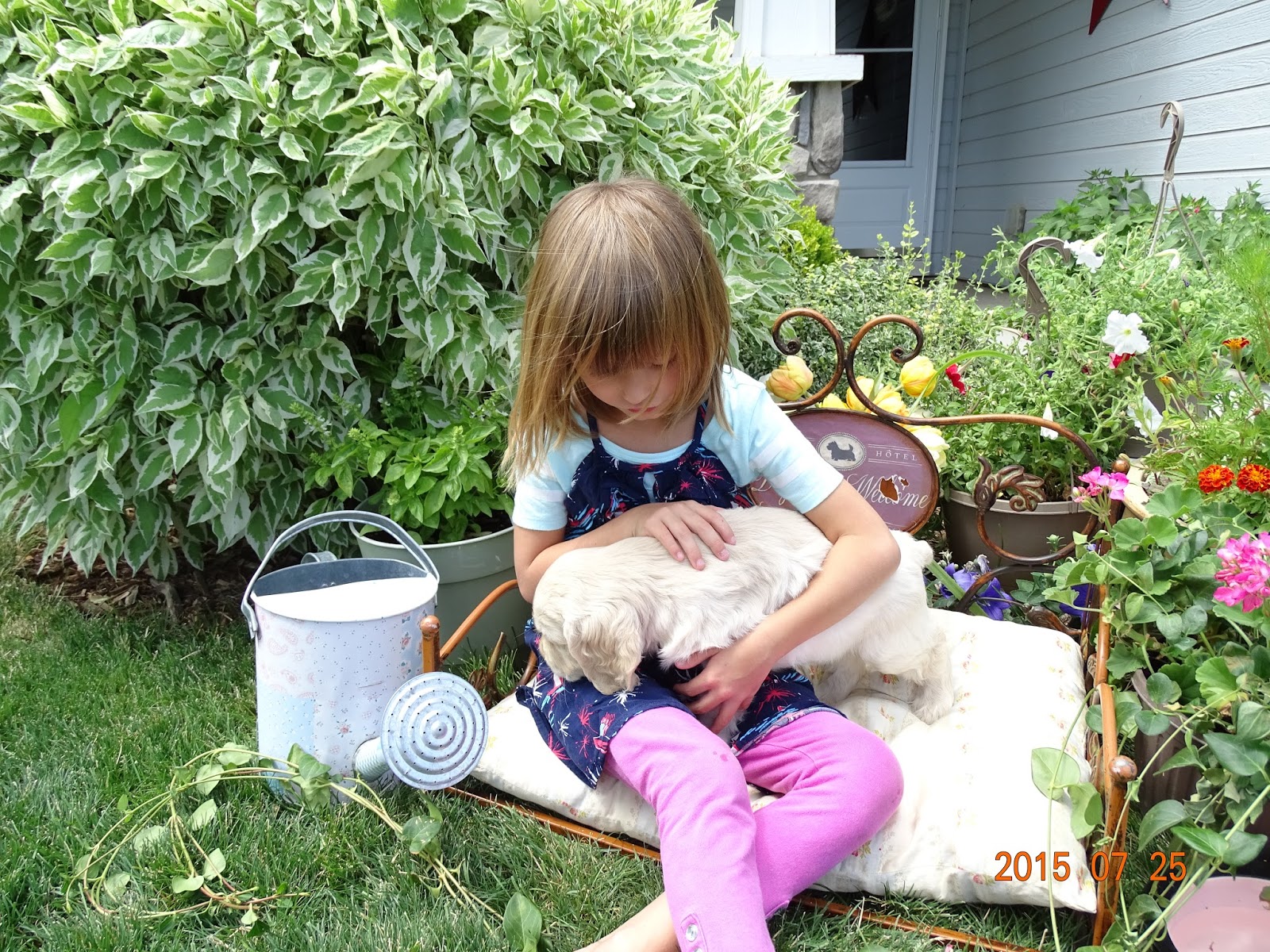 6-weeks old. My daughter with Sweetie Bell!