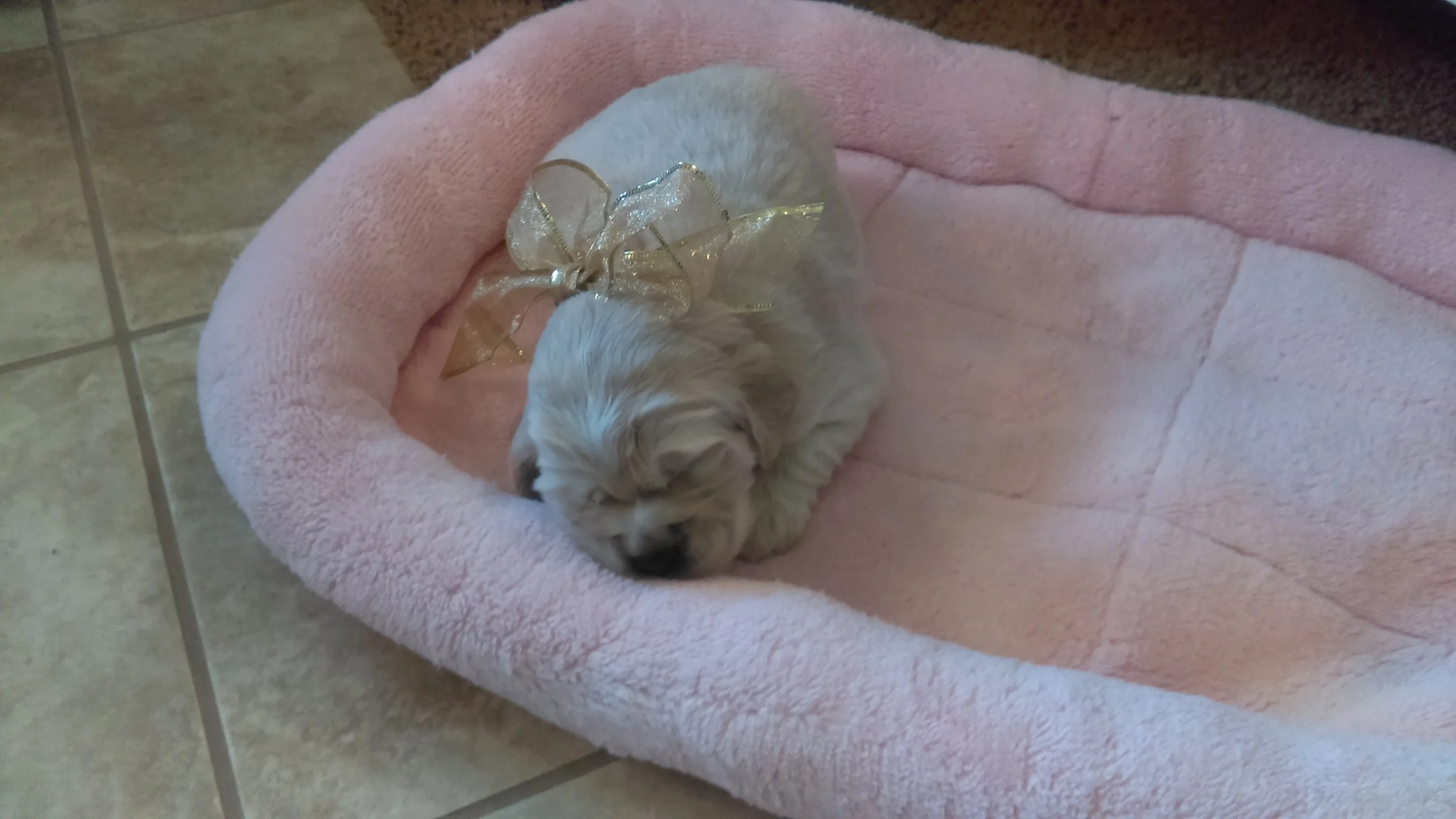2-weeks-old!