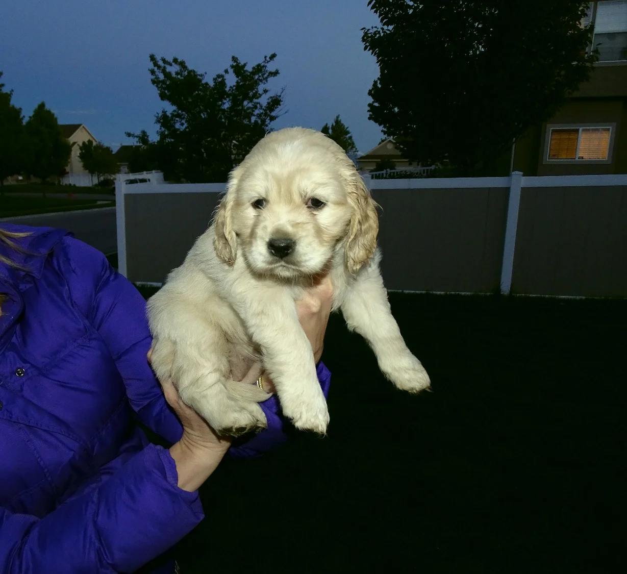 5-weeks-old!