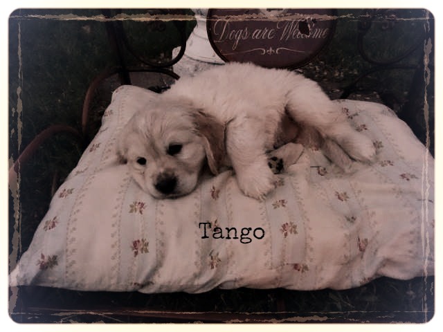 6-weeks-old!