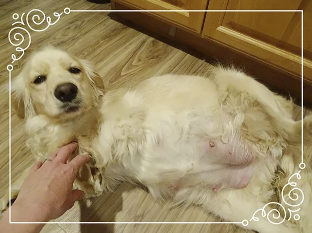 1 year old and pregnant!