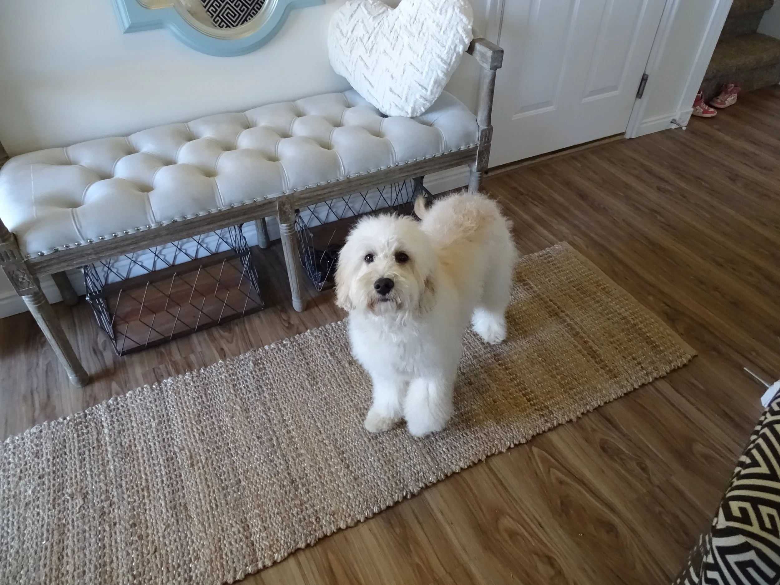 Nala