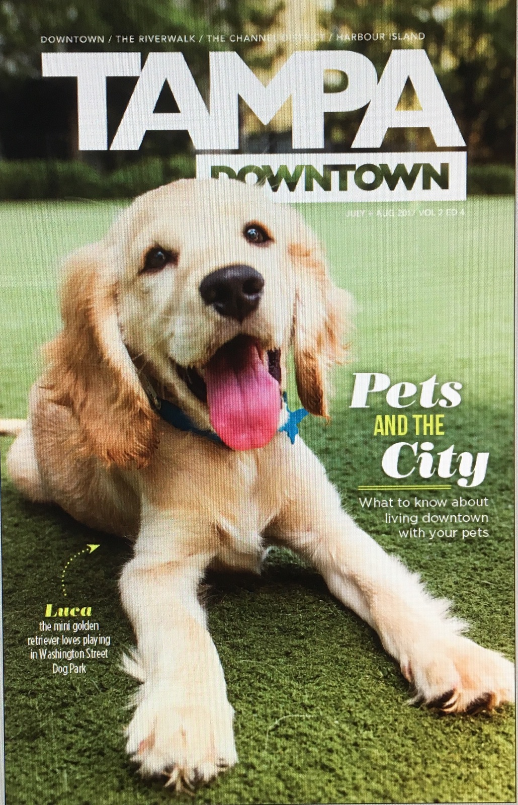 Luca - on the cover of South Tampa Magazine.jpg