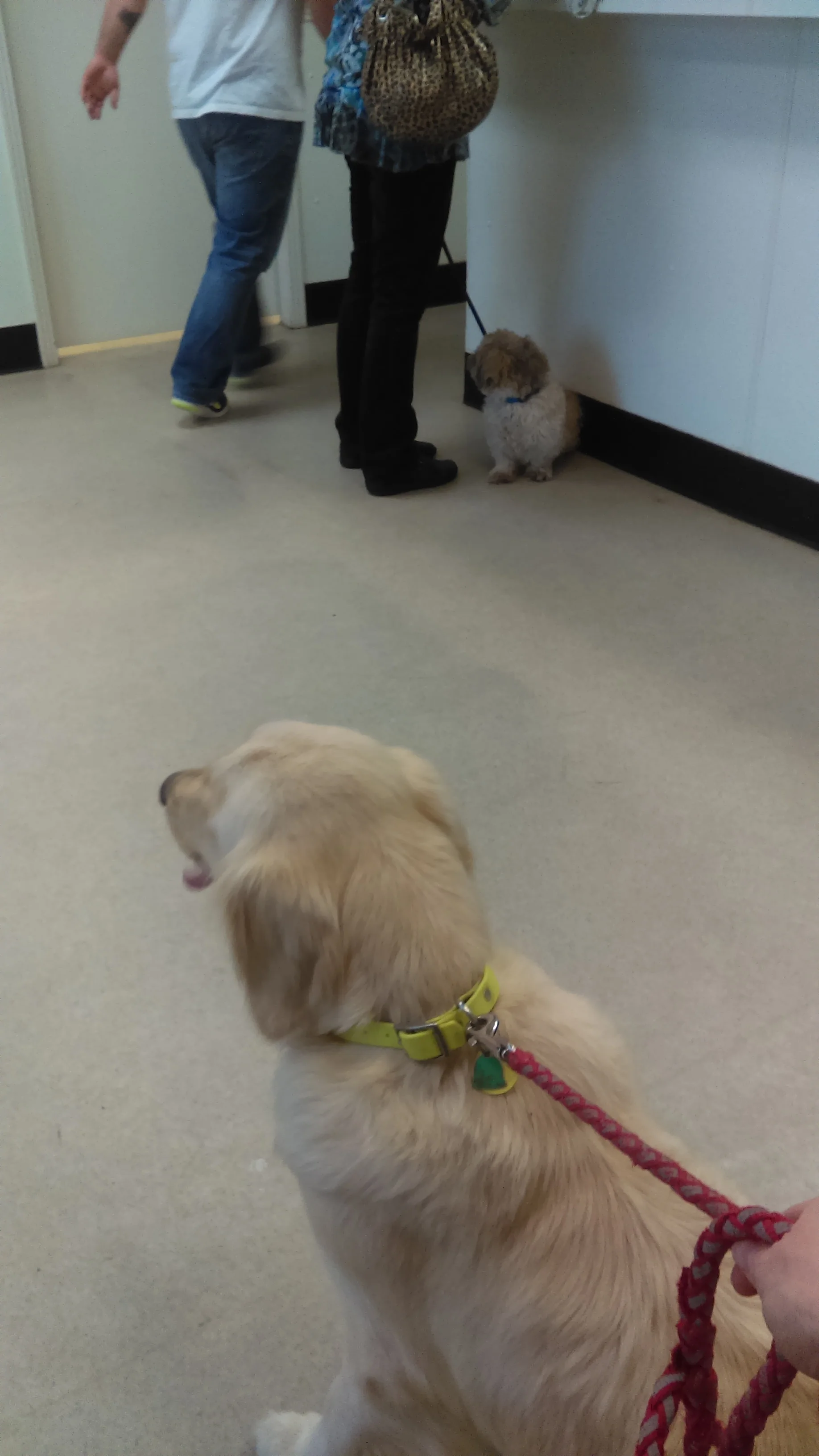 Pinkerton's_prenatal_appt.jpg