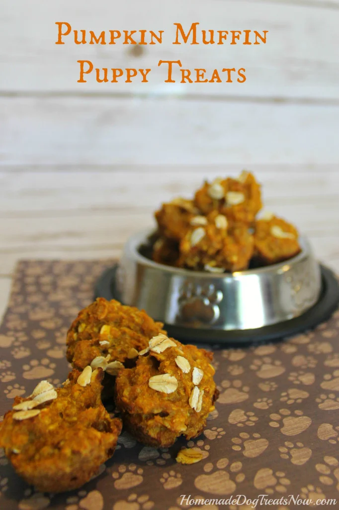 Pumpkin-Puppy-Muffins-682x1024.jpg