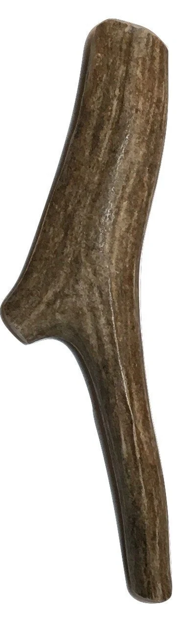 51mXvTn3mwL._SL1299_.jpg