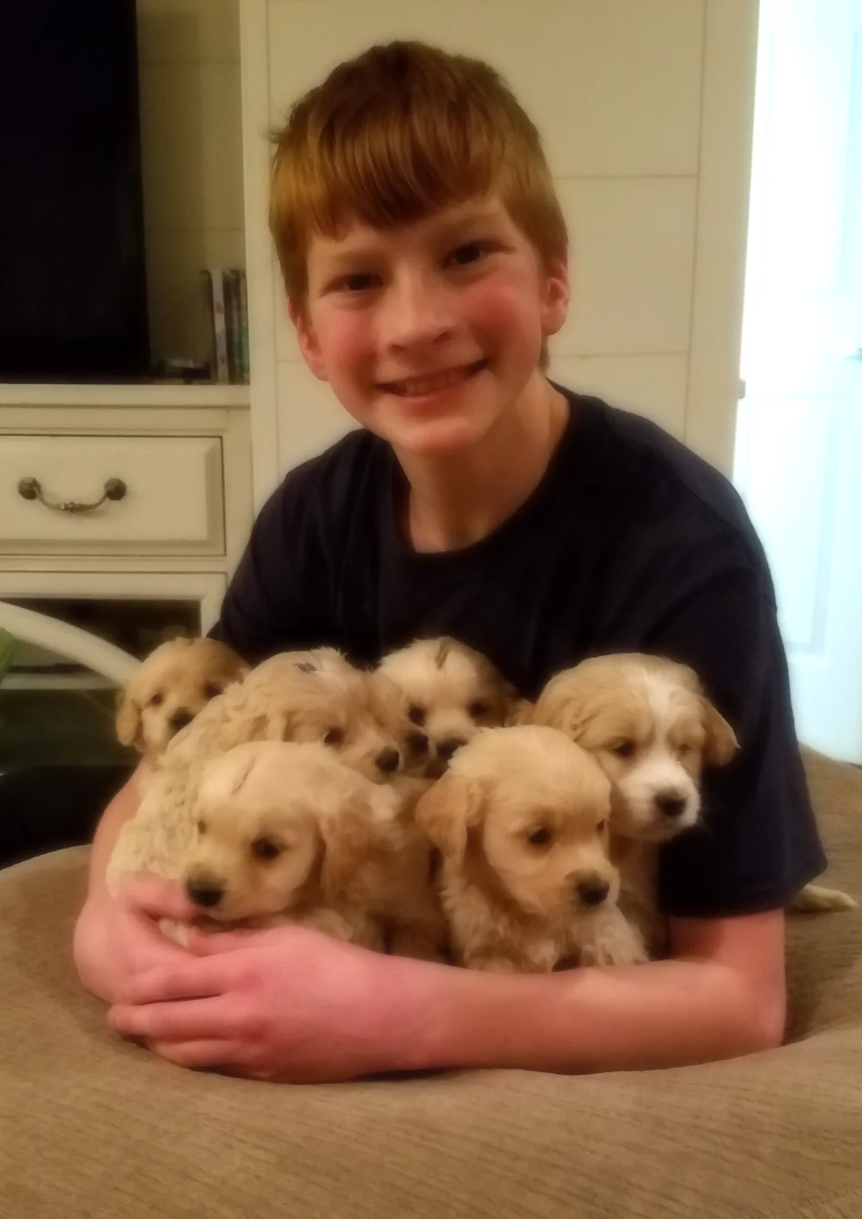 Bentley is my 14-year-old son's dog so these are his "grandchildren" from the Box of Chocolate litter