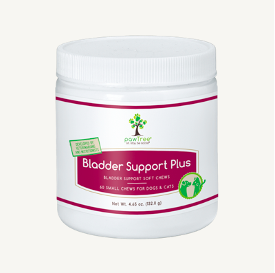 Bladder Support Plus