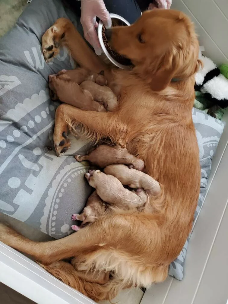 Audrina with her brand new babies