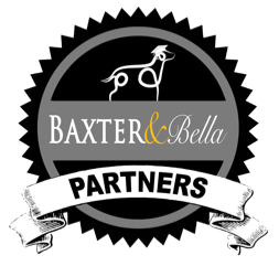 B&B PARTNERS Logo for light backgrounds.png