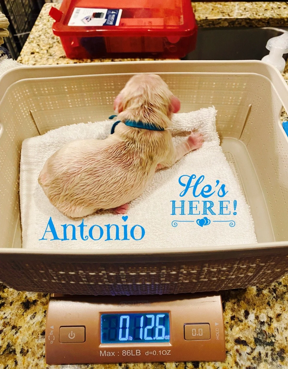Antonio just born 