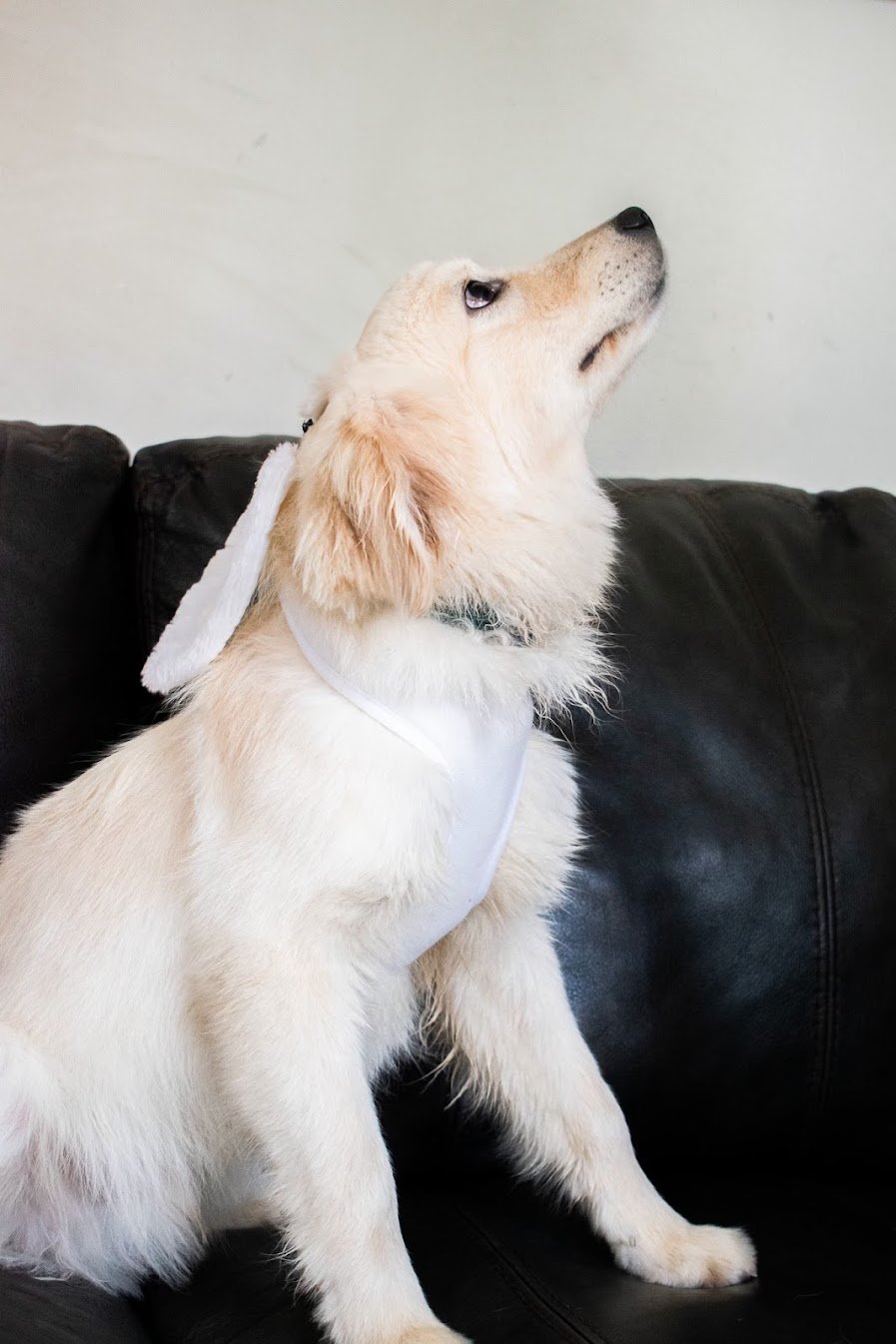 Tristan's Profile