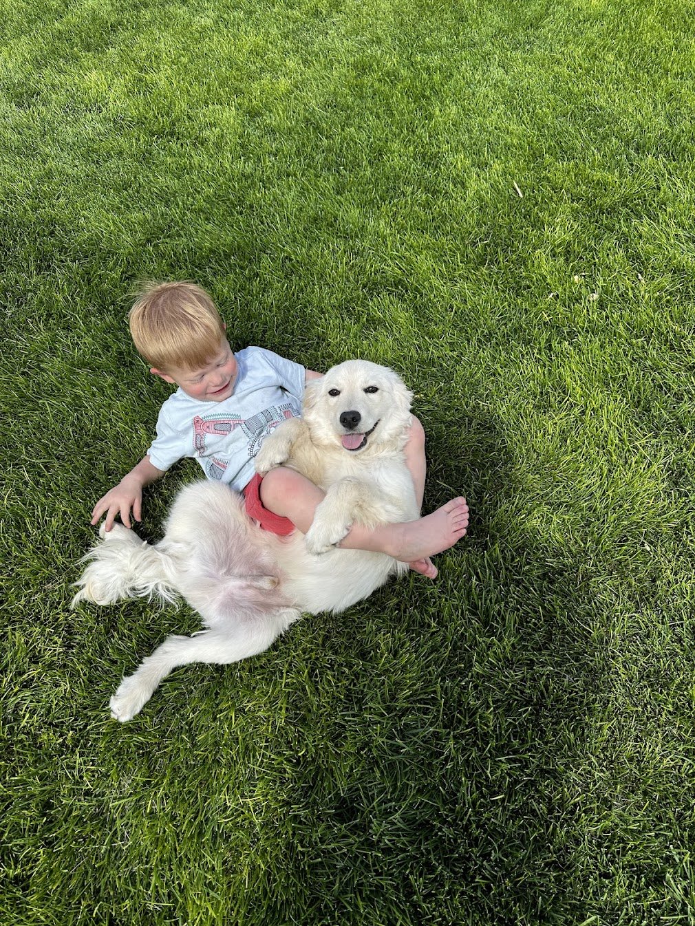Tristan and his boy