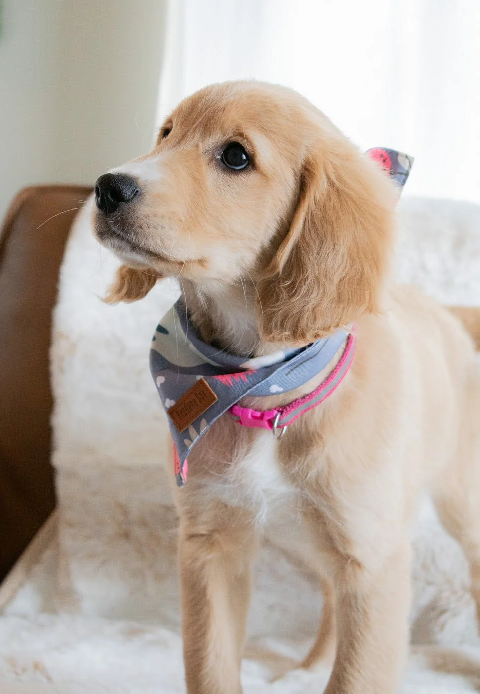 Blossom baby.JPG