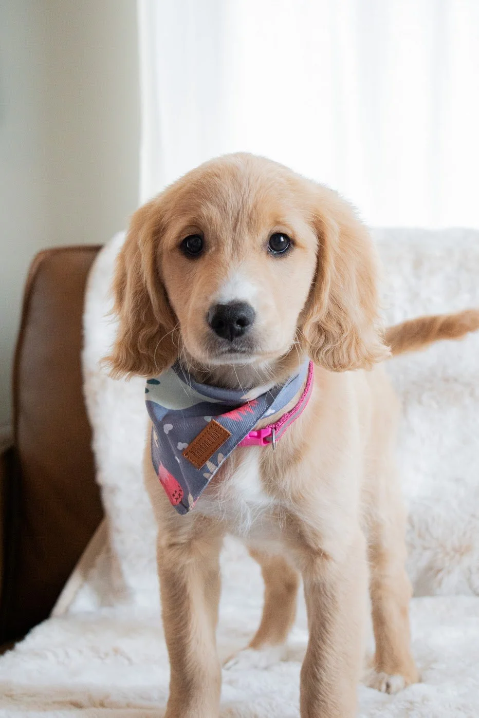 Blossom baby with bandana.JPG