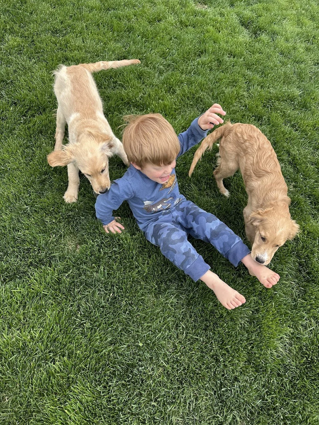 Blossom and Maverick