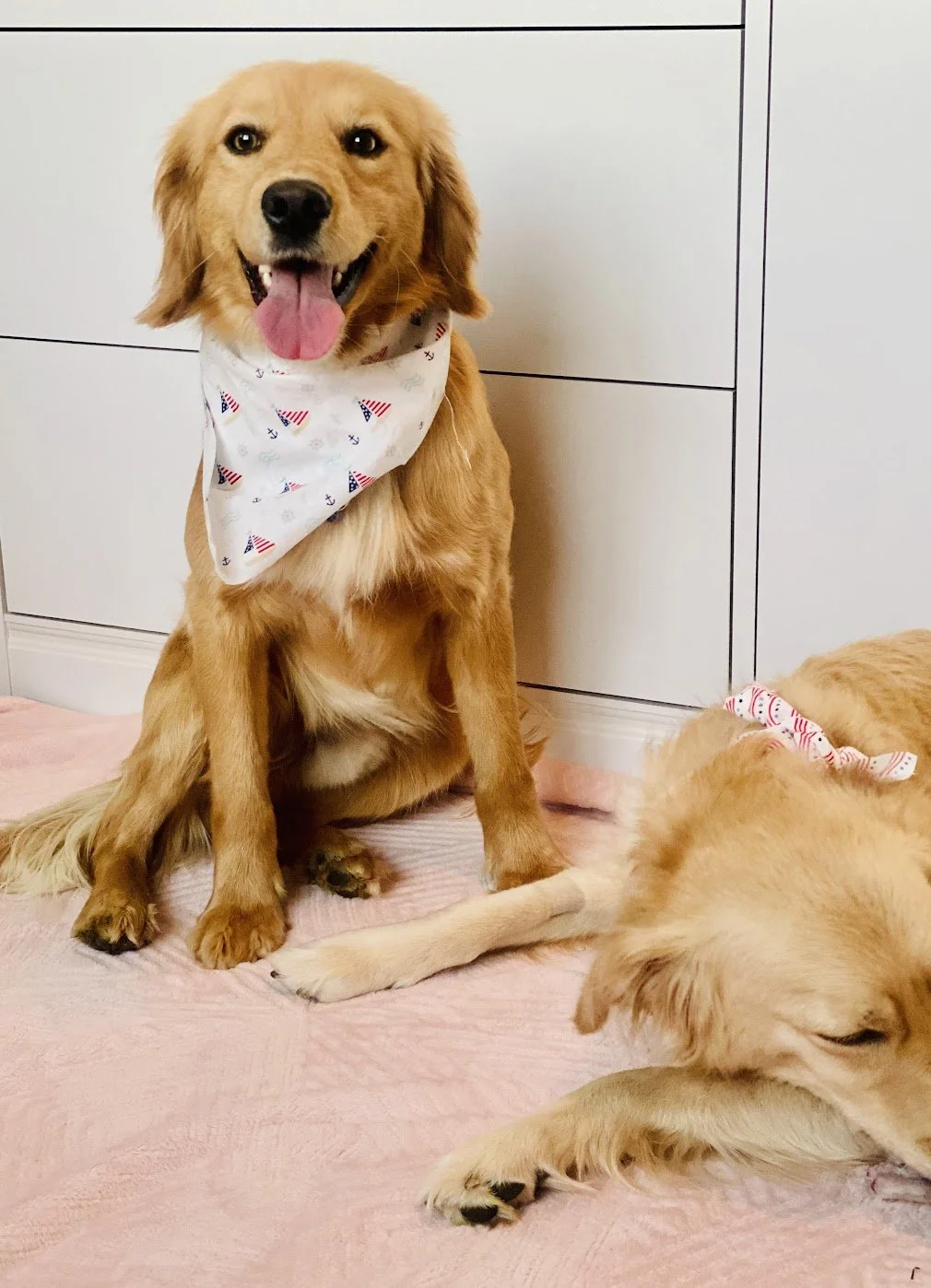 Proud Daddy Ranger.jpg