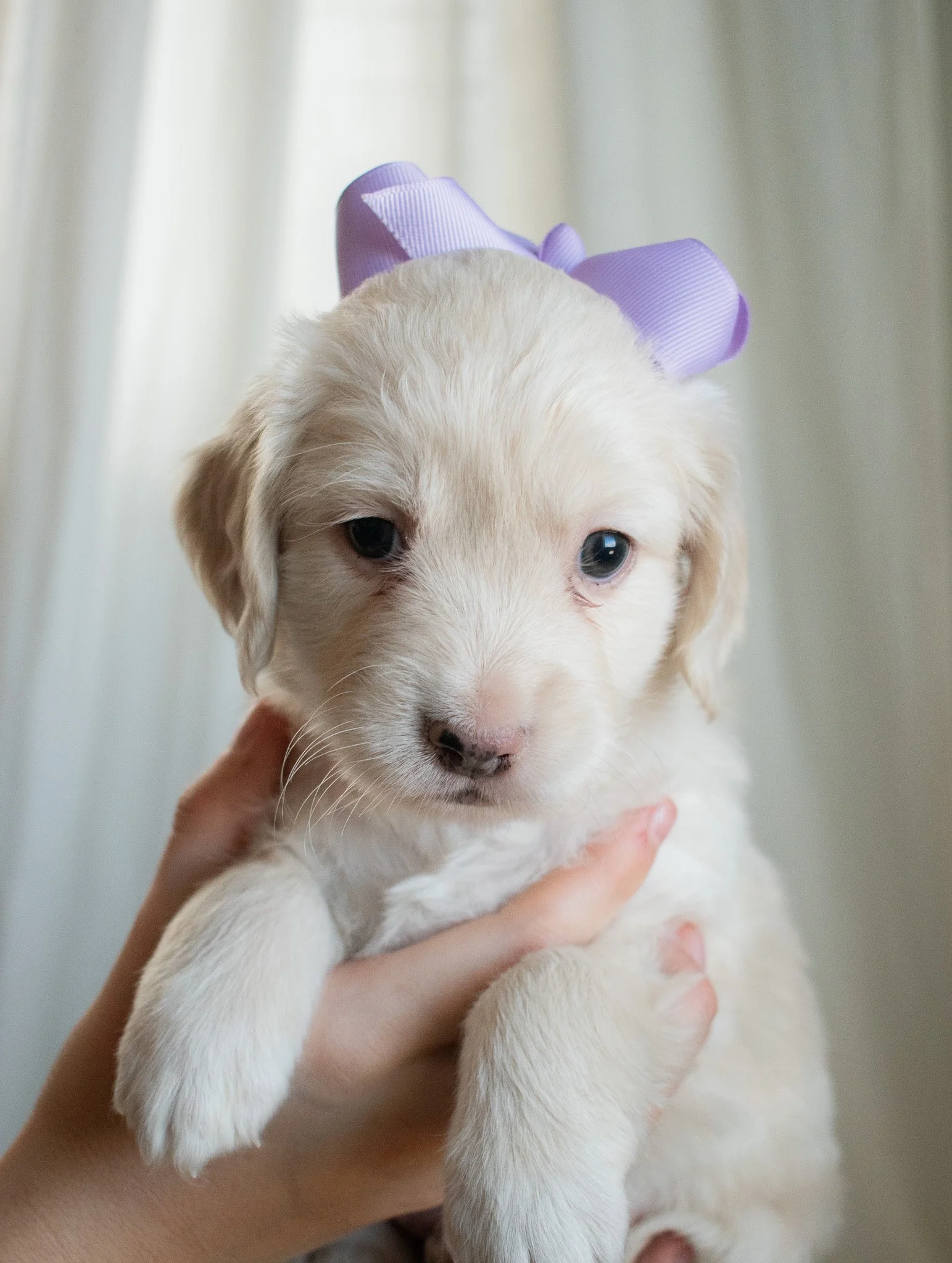 Stormy 5 weeks