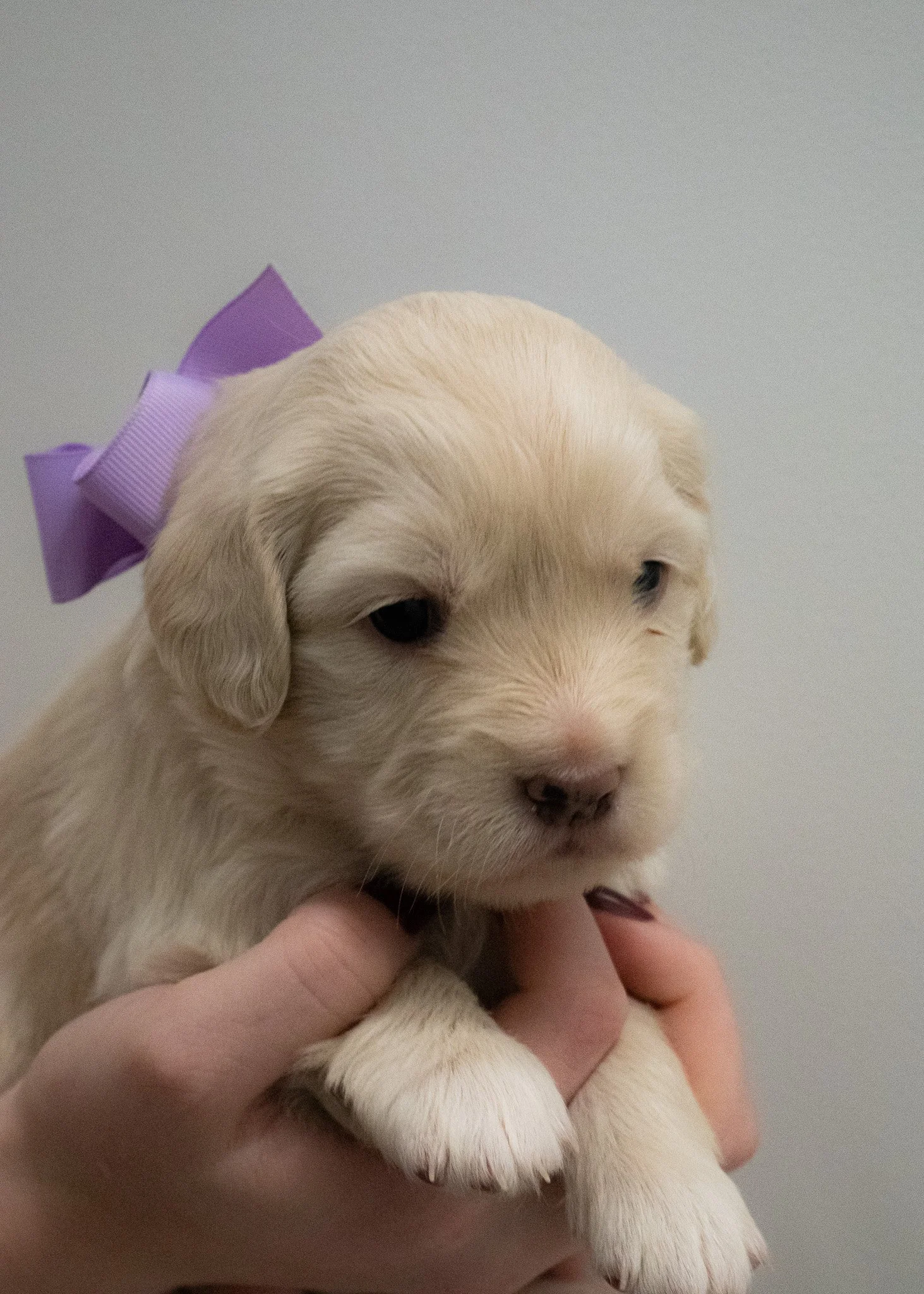 Stormy 3 weeks old