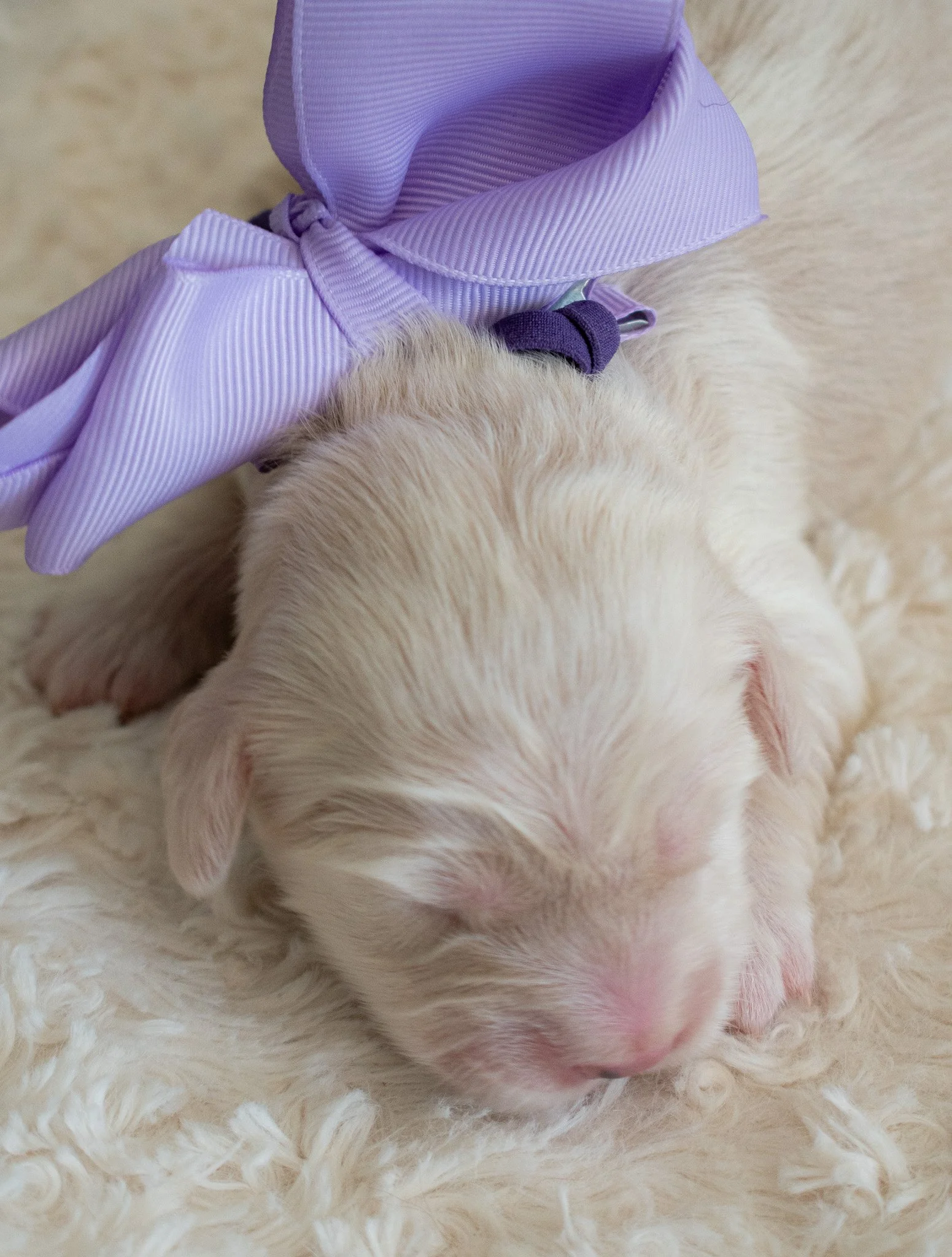 Stormy 1 week 