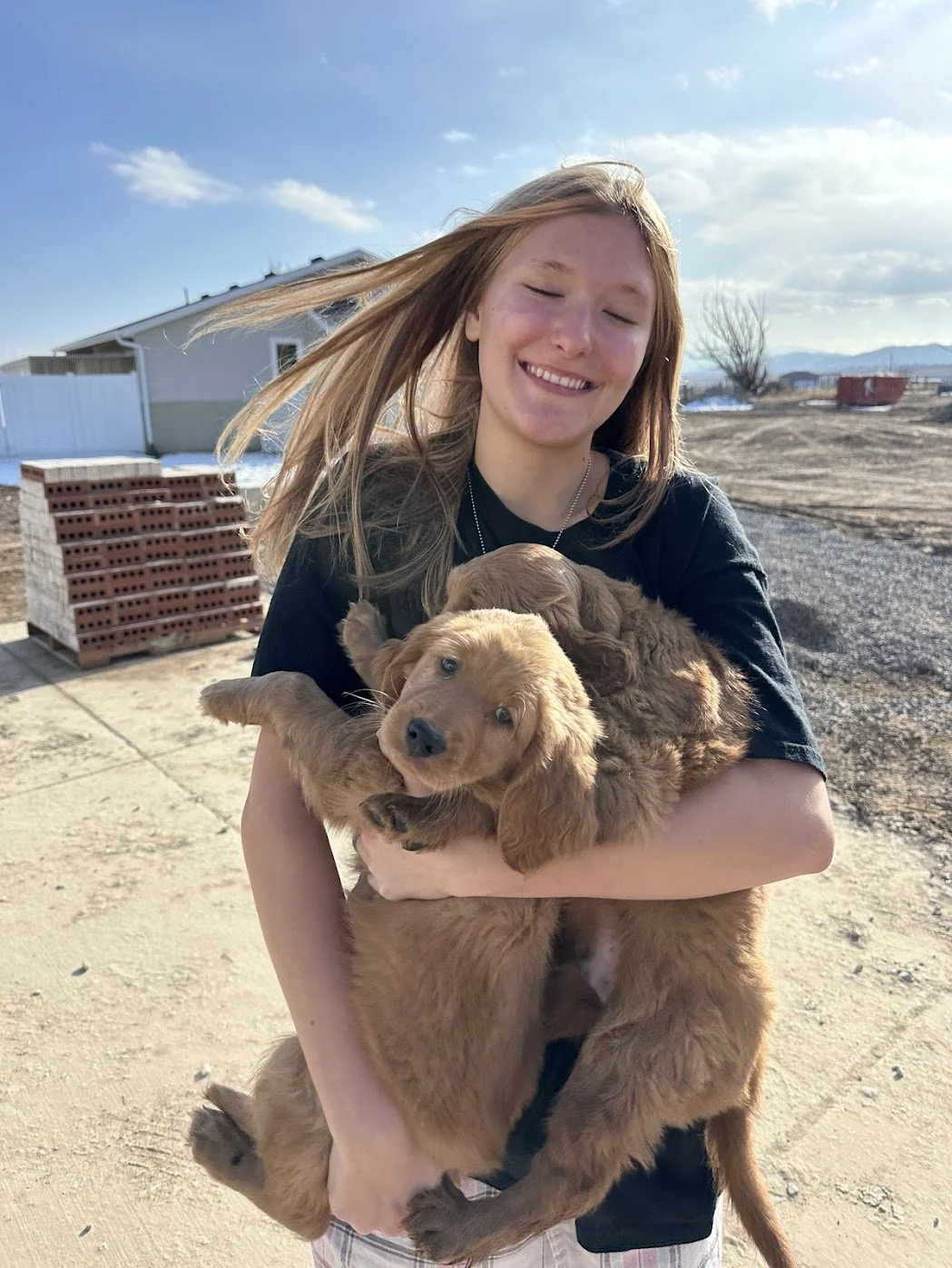 Sadie with Yukon and Russet.jpg