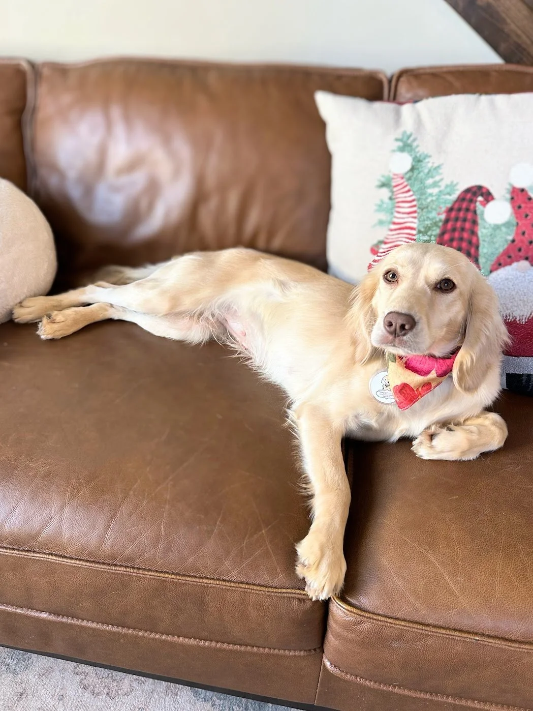 Taylormade Mini Golden Nike.jpg