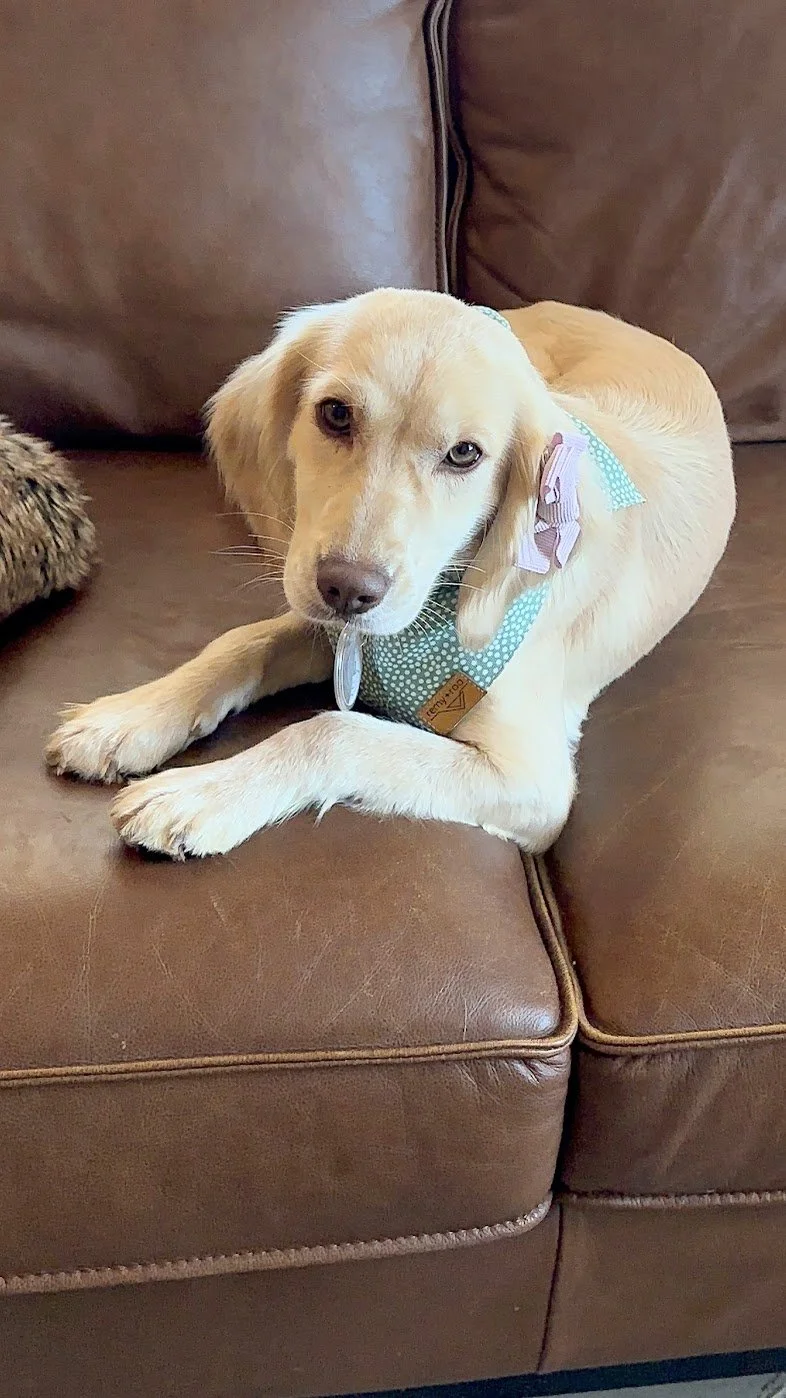 Nike's gorgeous eyes