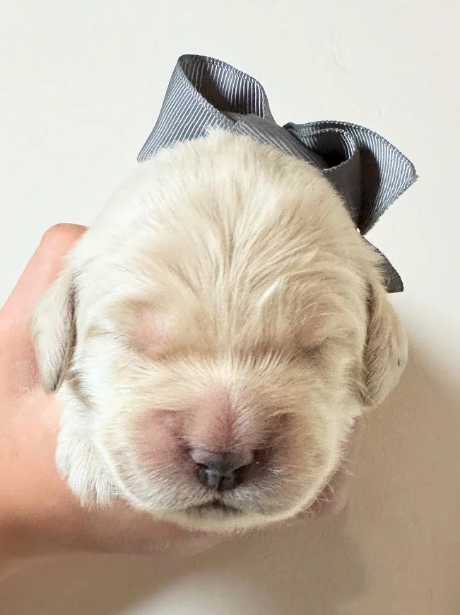 Sienna 1 week.jpg