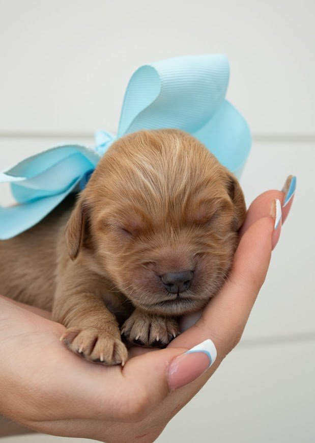 Axl 1 week.jpg