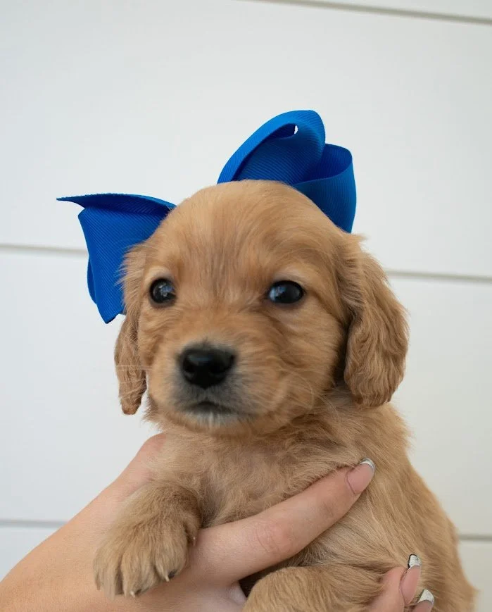 Axl 5 weeks.jpg