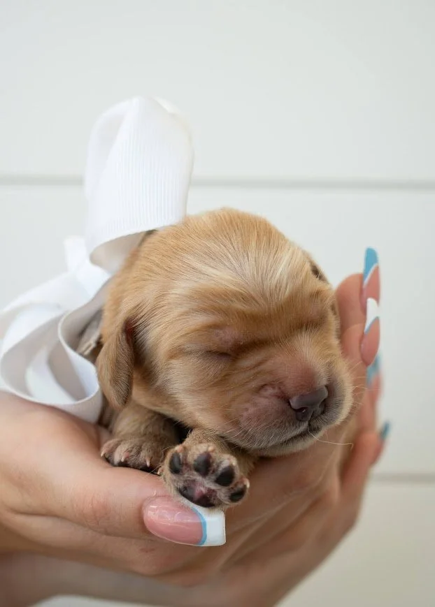 Gwen 1 week.jpg