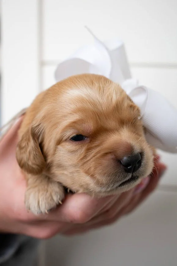 Gwen 2 weeks.jpg