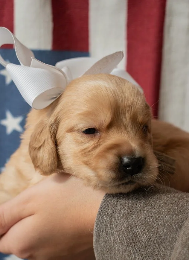 Gwen 3 weeks.jpg