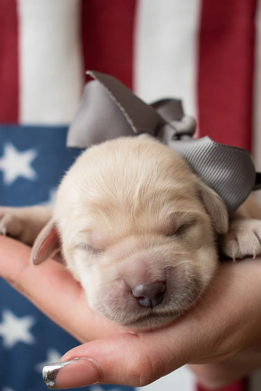 Jasper 1 week