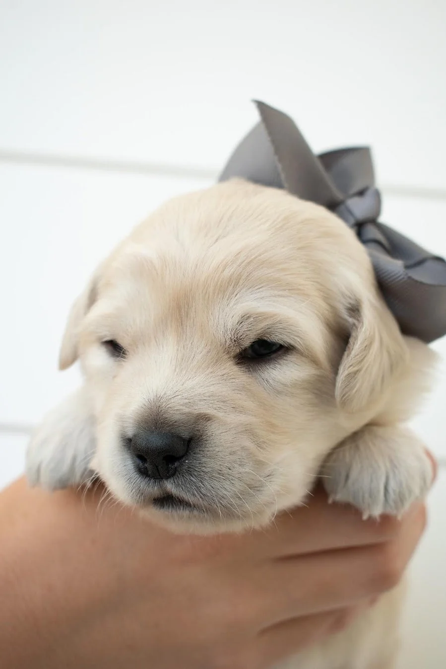 Jasper 3 weeks