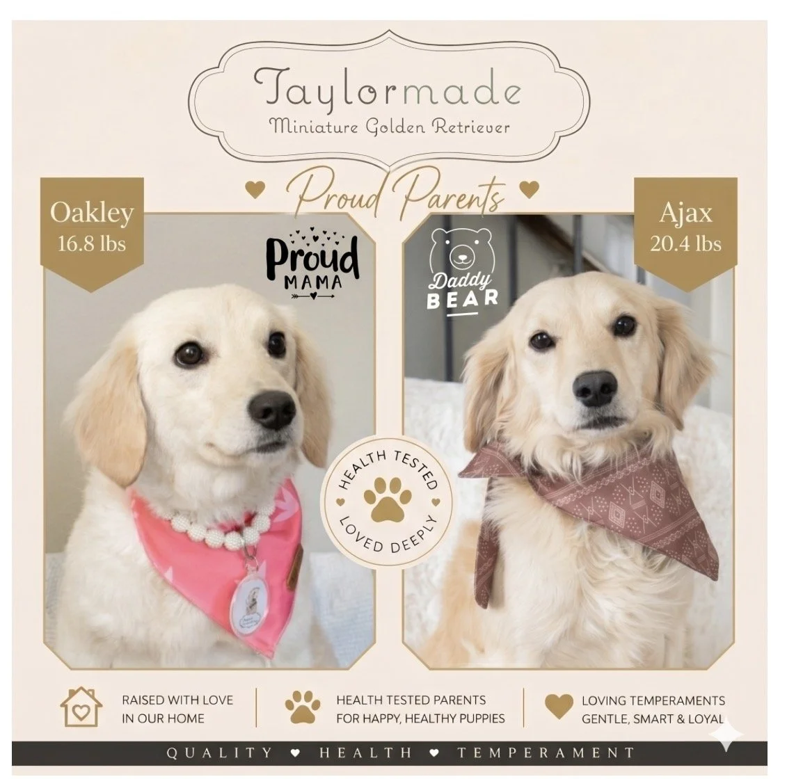 Oakley & Ajax graphic.jpg