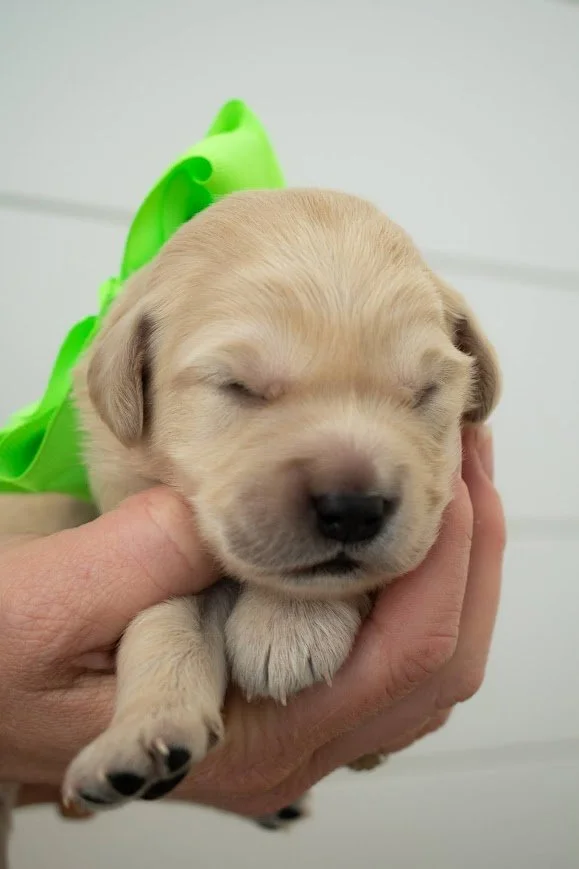 Bryce 2 weeks.jpg