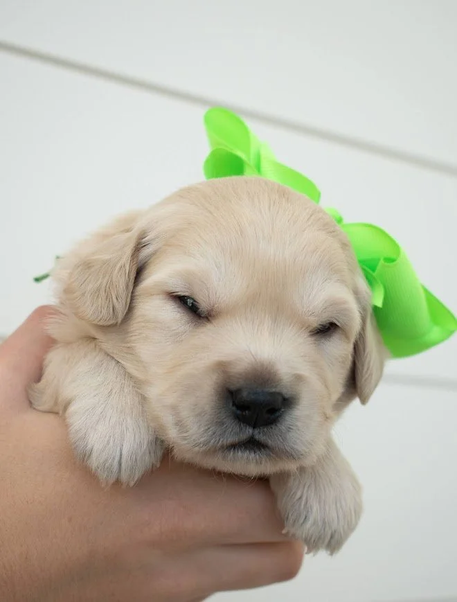 Bryce 3 weeks.jpg
