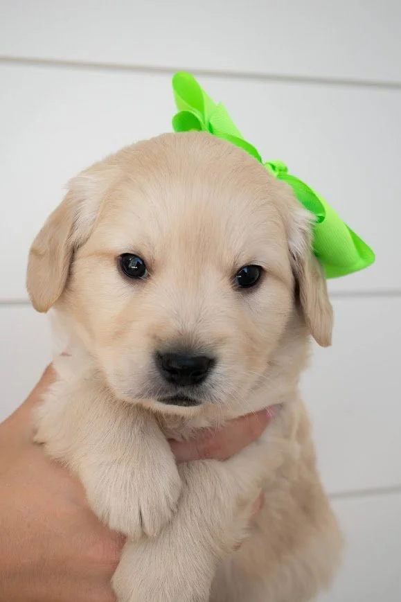 Bryce 5 weeks.jpg