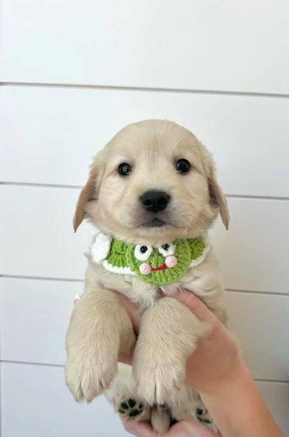 Bryce 6 weeks.jpg