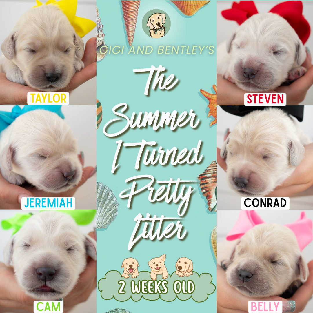 Gigi and Bentley 2 weeks old.png