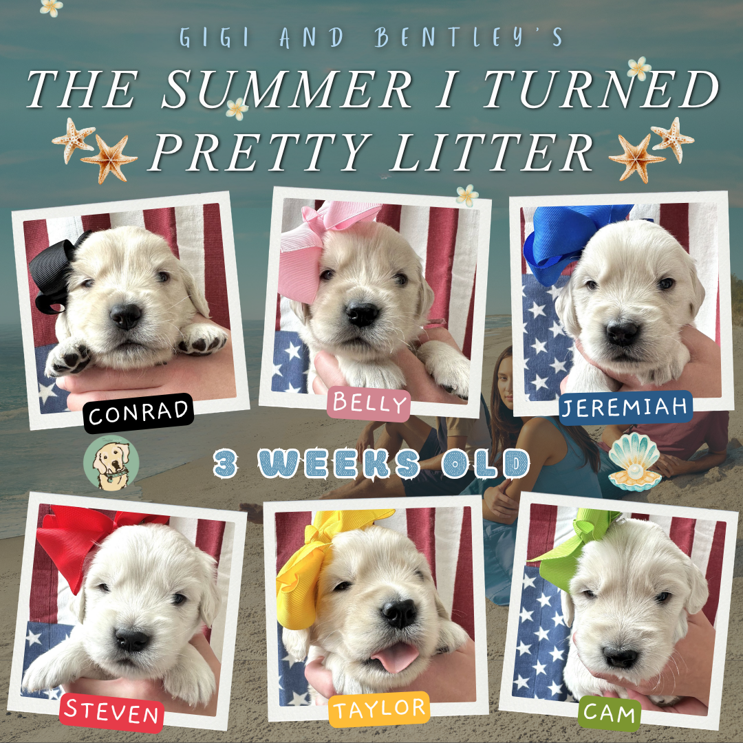 Gigi and Bentley week 3.png
