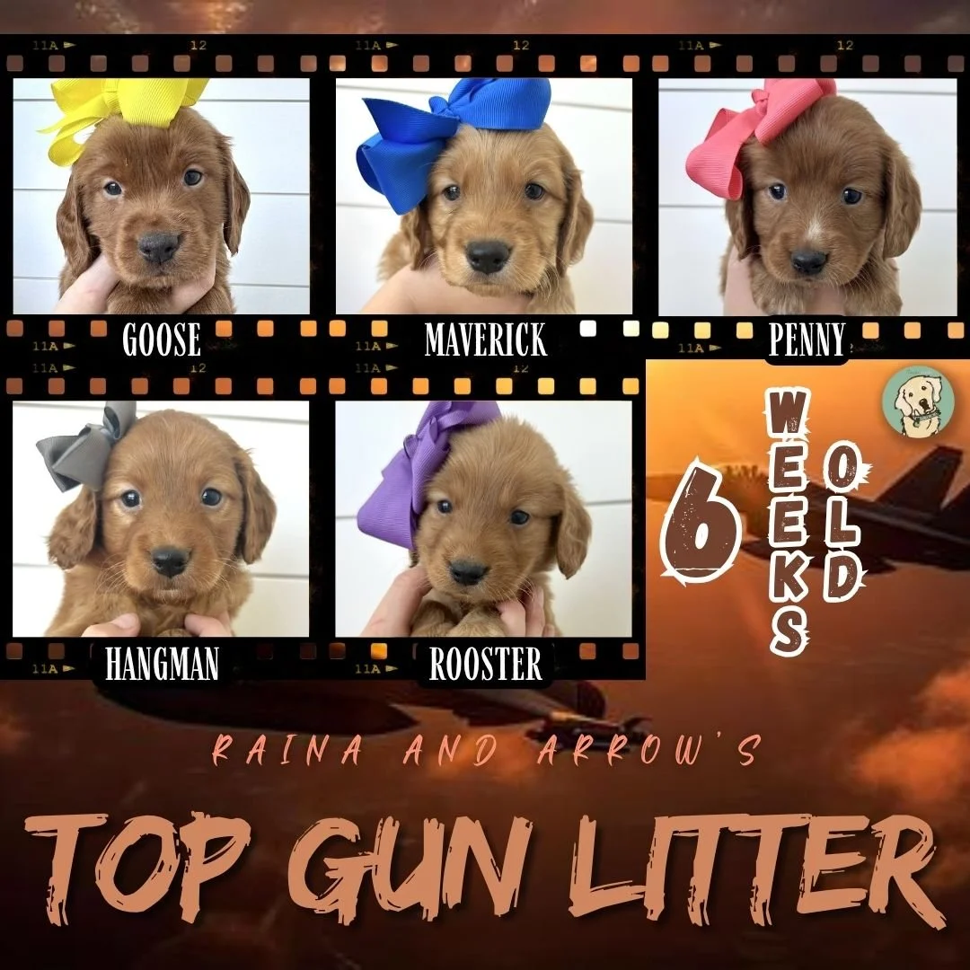 Raina and Arrow week 6.jpg
