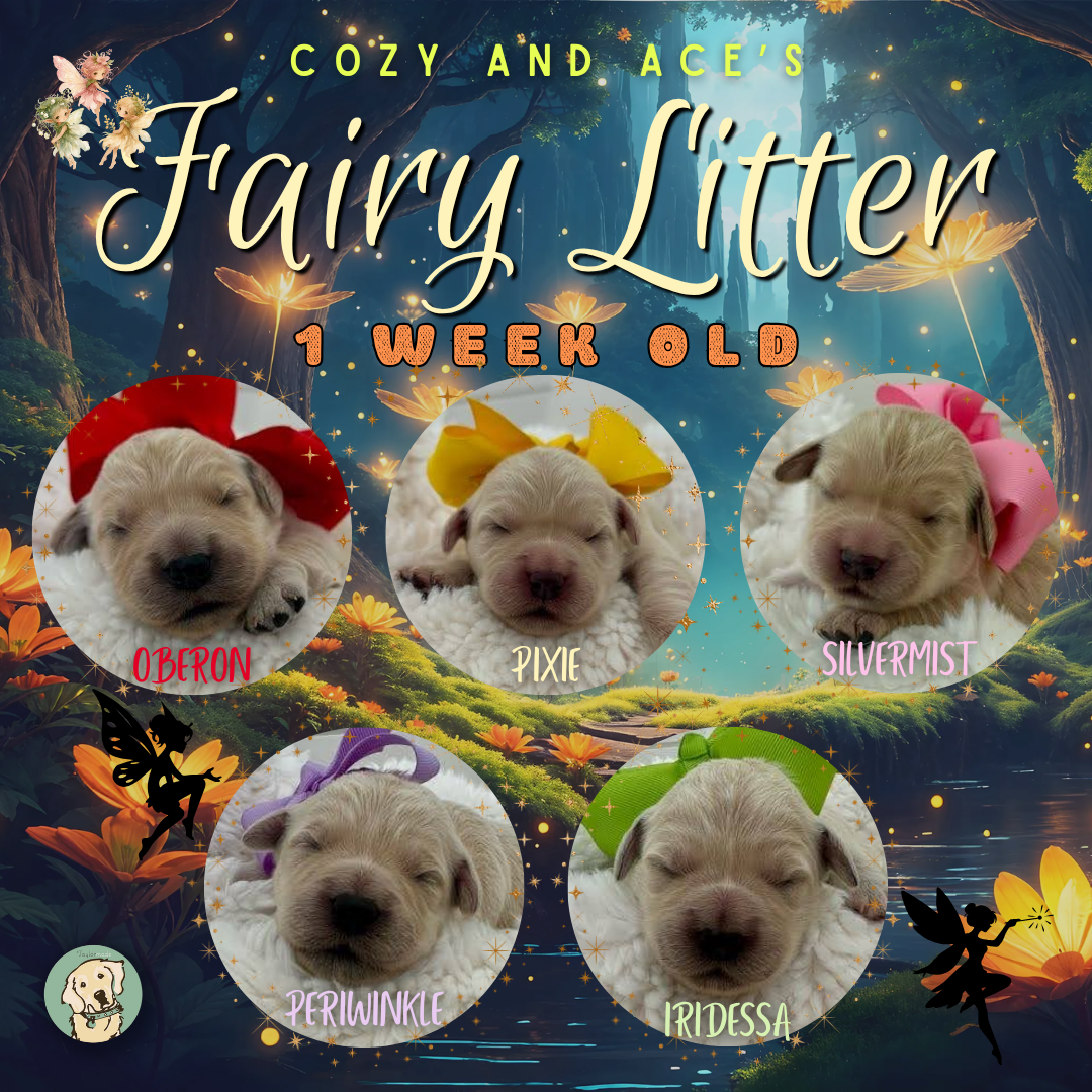 Cozy and Ace week 1.png