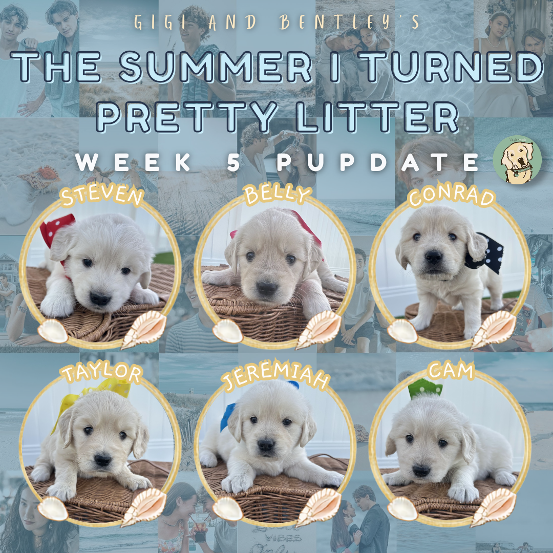 Gigi+and+Bentley+Week+5.webp