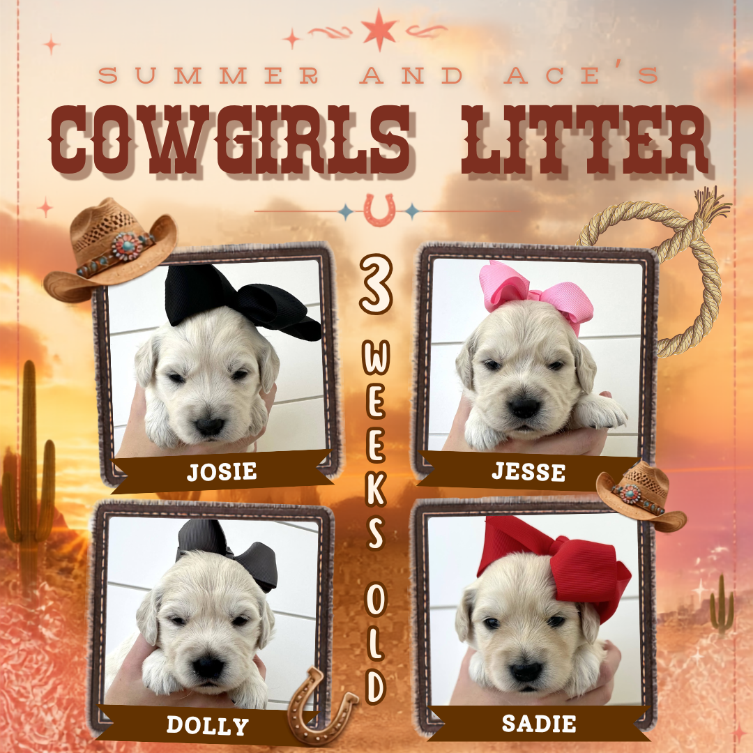 Summer and Ace Week 3.png