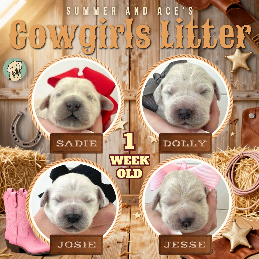 Summer and Ace week 1.png